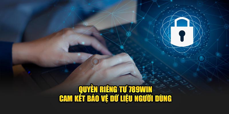 Quyền Riêng Tư 789win - Cam Kết Bảo Vệ Dữ Liệu Người Dùng